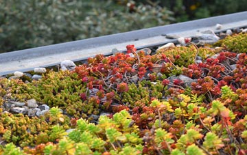 the cost of Stanford In The Vale green roof installation