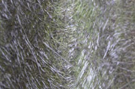 Stanford In The Vale fibreglass roof work